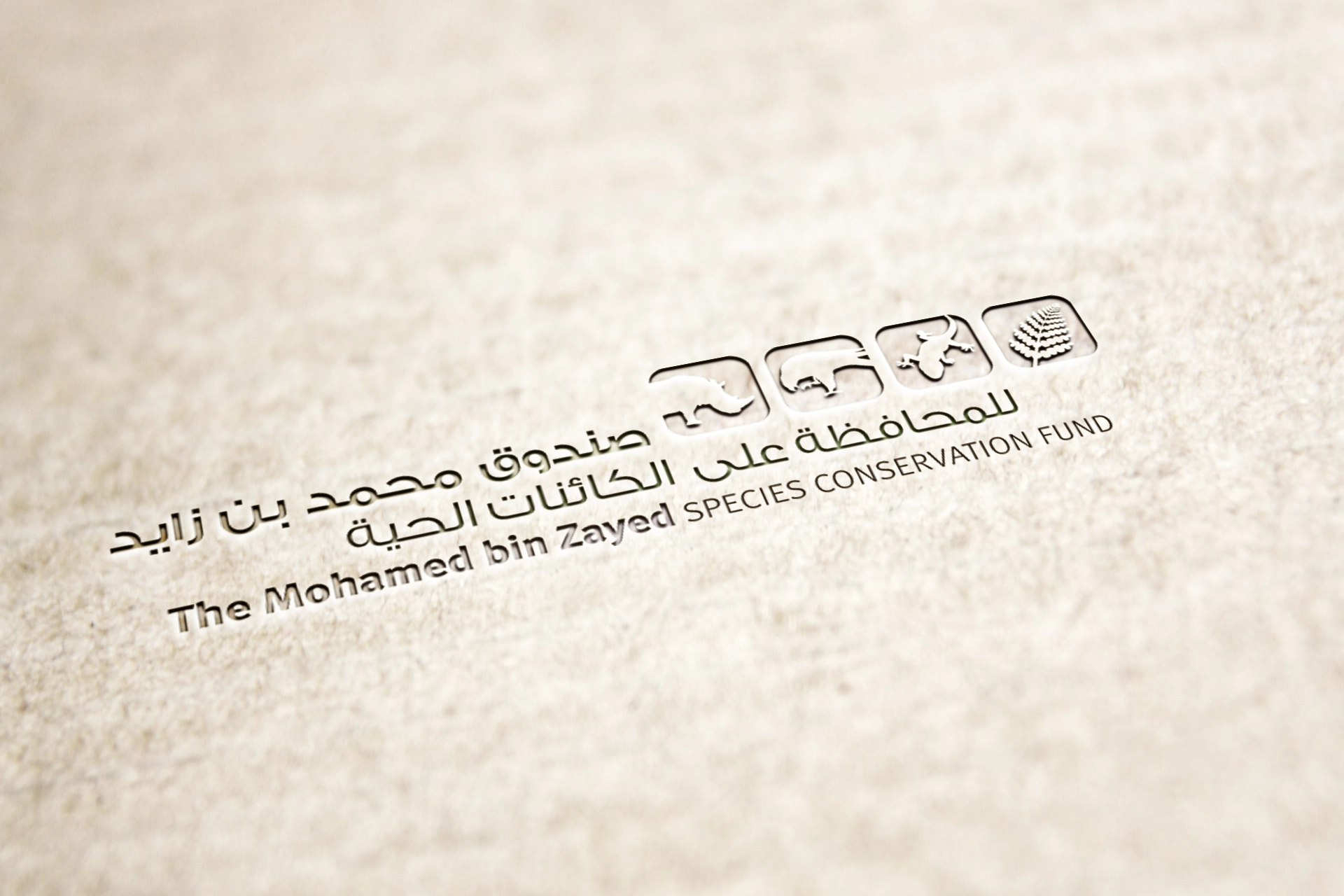 Mohammad Bin Zayed Species Conservation Fund
